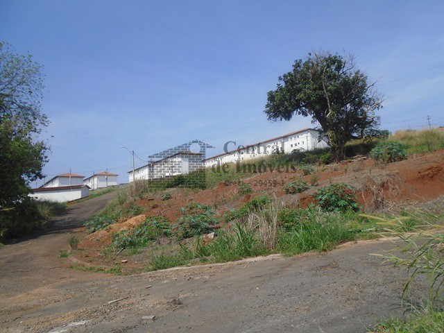 TERRENOS em JARDIM ALGENOR TADDEI, SAO JOSE DO RIO PARDO