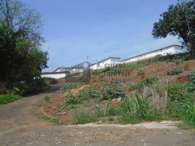 TERRENOS em JARDIM ALGENOR TADDEI, SAO JOSE DO RIO PARDO