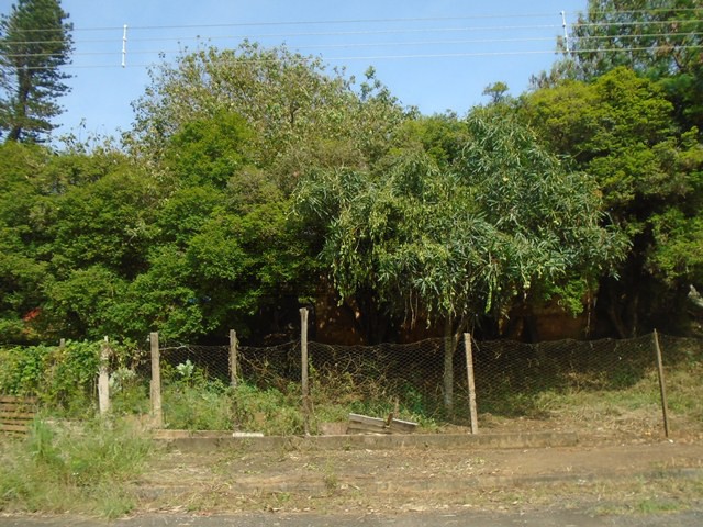 TERRENOS em JARDIM ALGENOR TADDEI, SAO JOSE DO RIO PARDO
