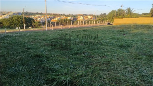 TERRENOS em JARDIM HORTO, CASA BRANCA